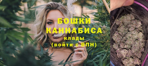 PSILOCYBIN Ладушкин