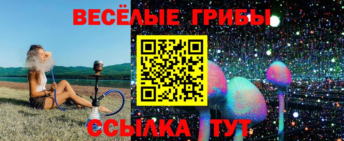 Псилоцибиновые грибы прущие грибы Сунжа