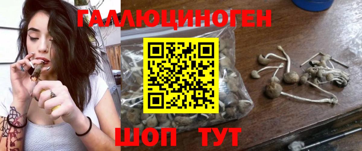 Псилоцибиновые грибы мухоморы Сунжа