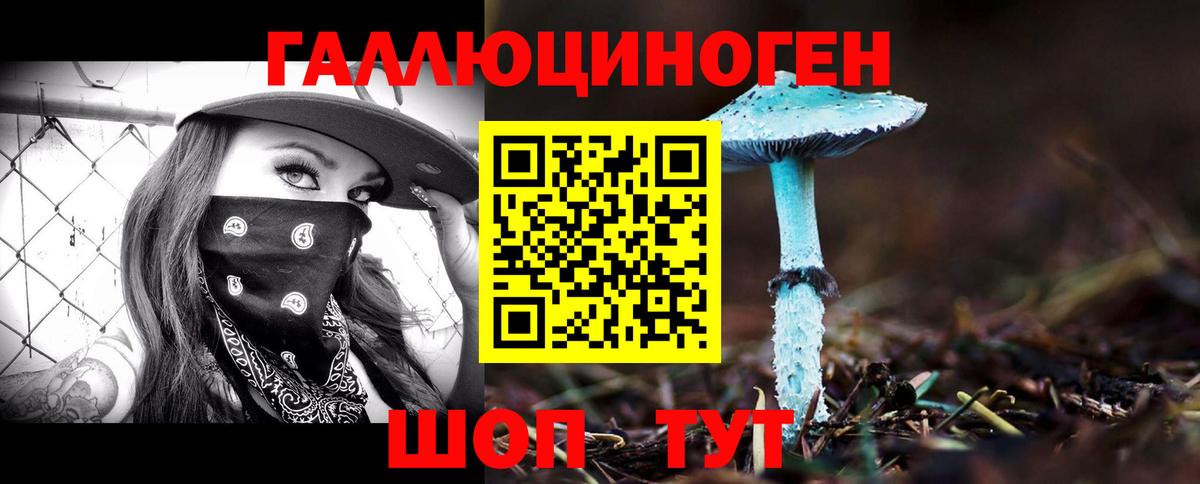 Сунжа  Псилоцибиновые грибы мухоморы  Вход с VPN 